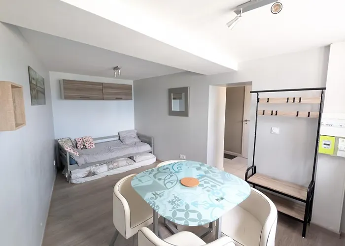 Appartement 2 Meuble A 48 M2 Avec Cour *